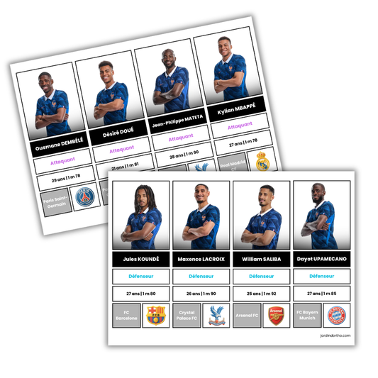 Coupe du monde 2026