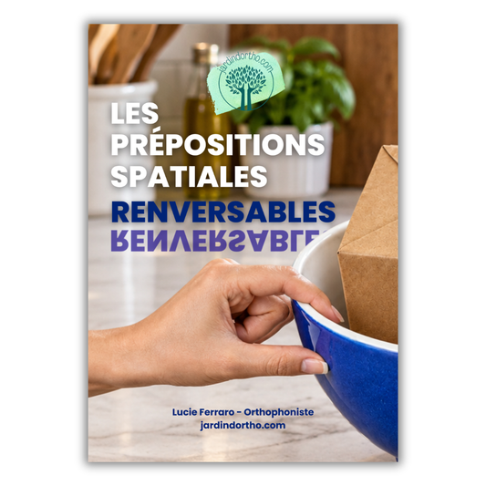 Les prépositions spatiales renversables