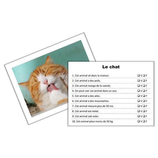 Compréhension en contexte