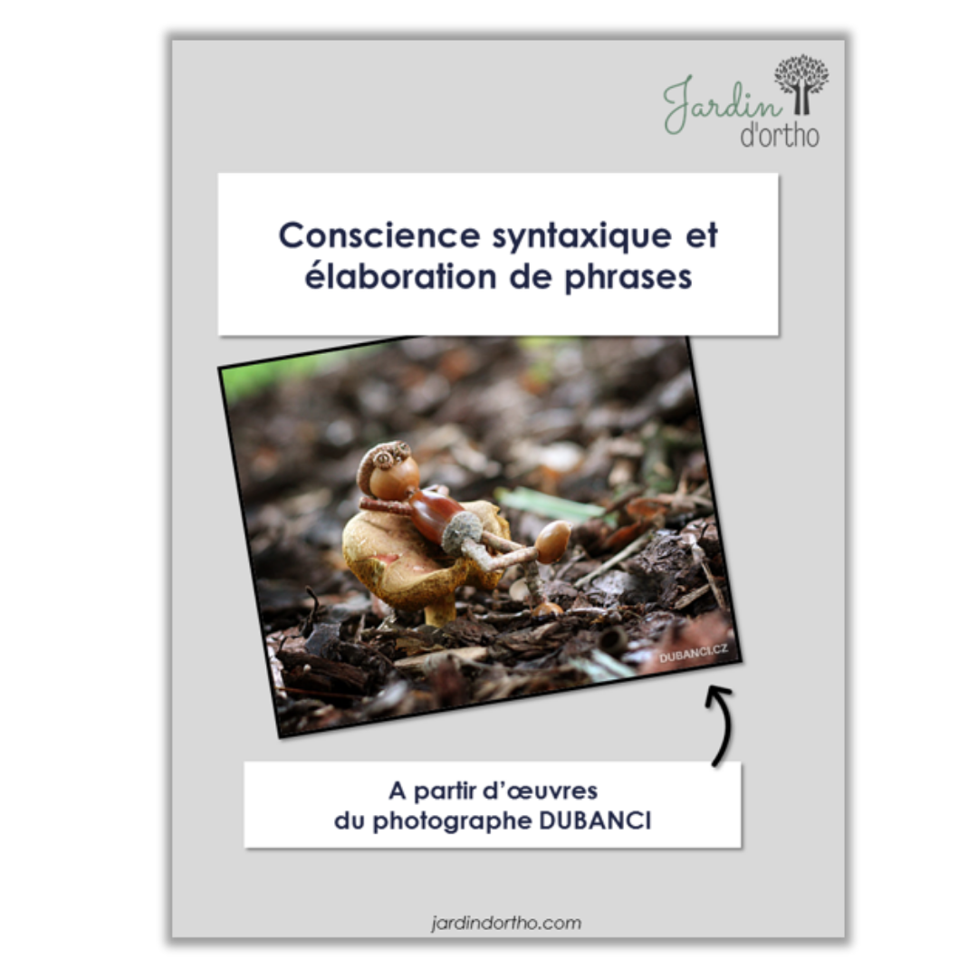 Boîte de DUBANCI - Conscience syntaxique et élaboration de phrases