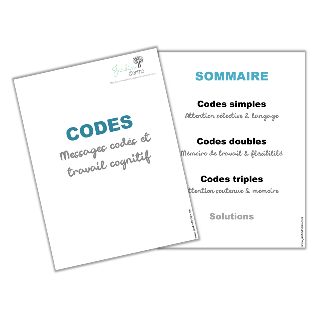 Boîte de Codes - Messages codés et travail cognitif